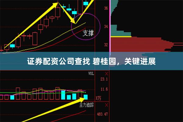 证券配资公司查找 碧桂园，关键进展