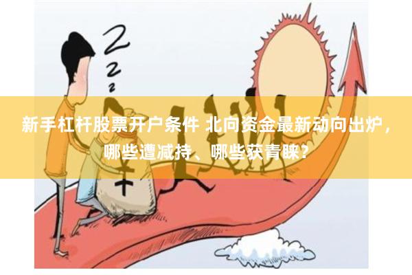 新手杠杆股票开户条件 北向资金最新动向出炉，哪些遭减持、哪些获青睐？